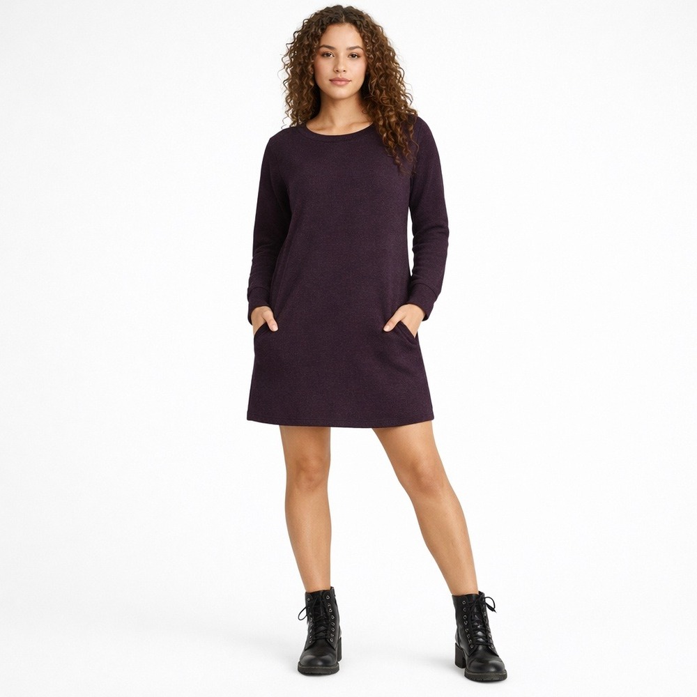 Anthropologie Saturday Sunday Annaliese Tunic Dress S Purple Long Sleeve Knit